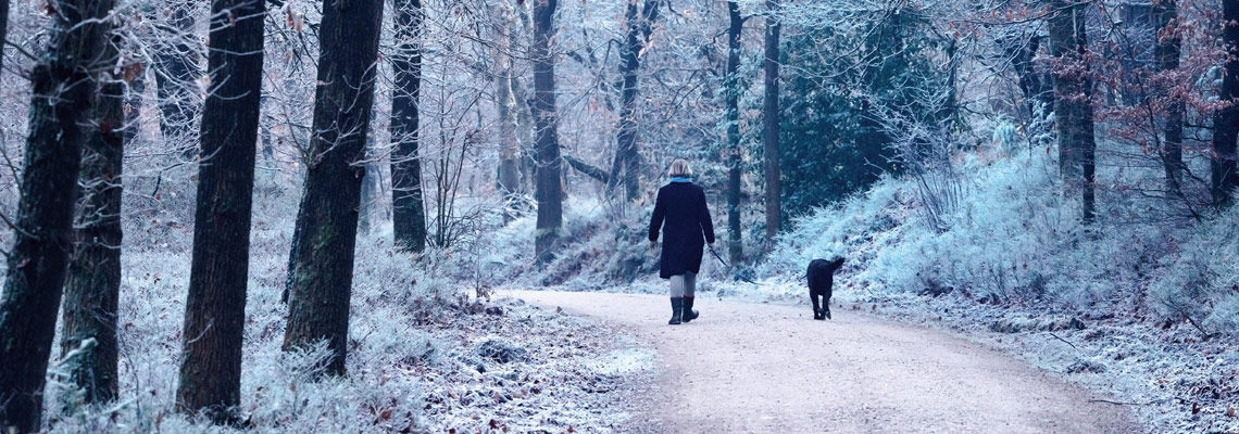 Forest Winter Woman with Dog