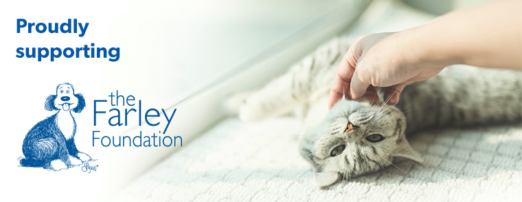 The Farley Foundation